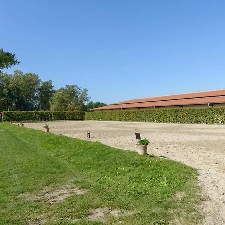 On A Horse Farm Eschede