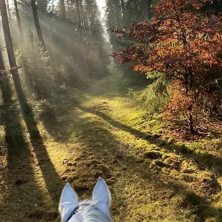 On A Horse Farm * Eschede